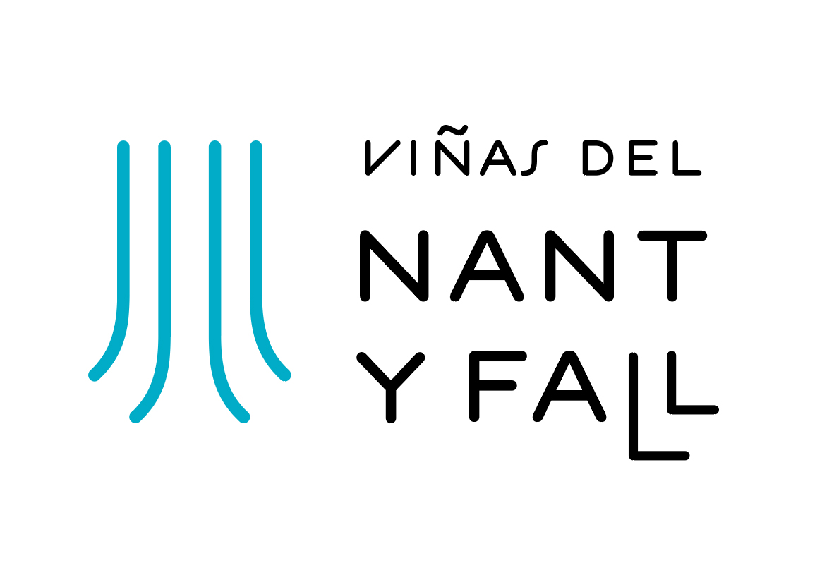Logo de DV