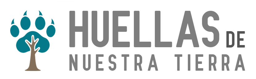 logo de la página